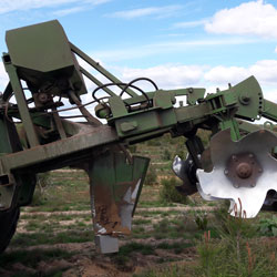 Apport d'engrais sur plantations forestires